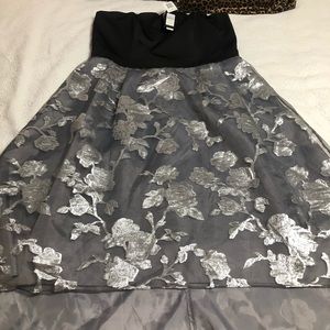 NWT Plus Sz 20 Beautiful hi-low Dress!